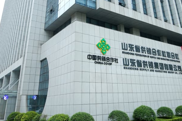 山东省供销社集团网站建设