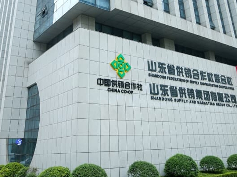 山东省供销社集团网站建设